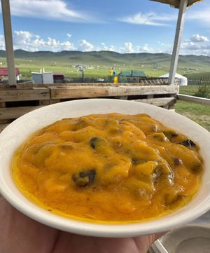 Photo credit: Mongolian Vegan Camp at Mongolian Vegan Camp in Ulaanbaatar