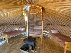 Photo credit: Mongolian Vegan Camp at Mongolian Vegan Camp in Ulaanbaatar