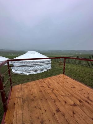 Photo credit: Mongolian Vegan Camp at Mongolian Vegan Camp in Ulaanbaatar