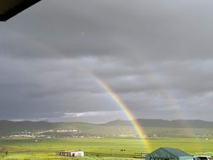 Photo credit: Mongolian Vegan Camp at Mongolian Vegan Camp in Ulaanbaatar