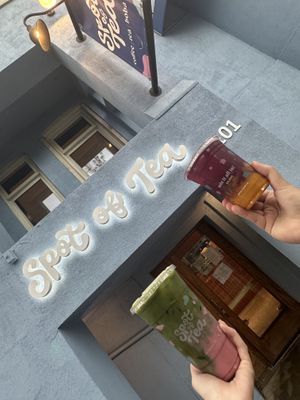   at Spot of Tea - Dupont Circle in Washington