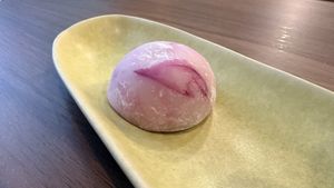   at Motya Coffee Shop in Funchal