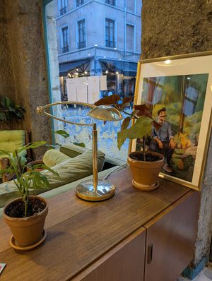 inside at Güstavo Gemüse Vebab in Lyon