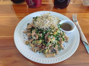 Pasta with fresh spinach and mushrooms at Punto Verde Campeche in Campeche