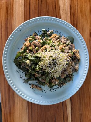   at Punto Verde Campeche in Campeche