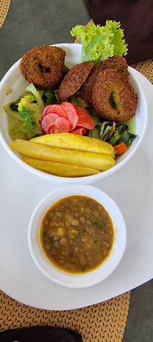 Falafel bowl at Portofino's in Puerto Villamil