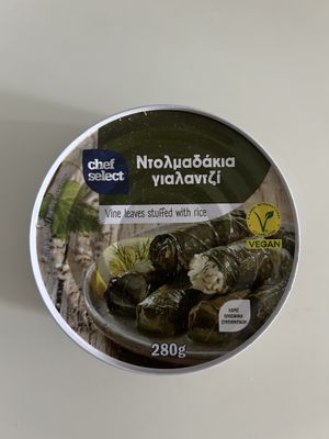 vegan Dolmades  at Lidl in Zakynthos