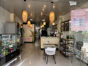 Hermoso y cogedor lugar   at Marietta Vegan in Marinilla