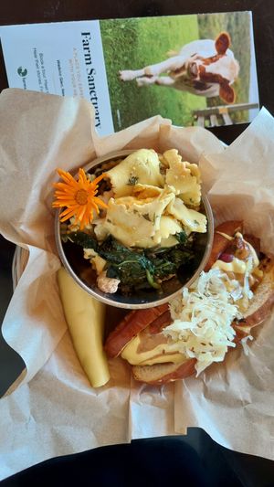 The dog with ravioli salad on the side at The Kitchen at Farm Sanctuary in Watkins Glen