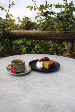  at Sadies Wholefood Cafe @ The Sadie Centre in Letchworth