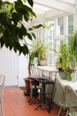  at Sadies Wholefood Cafe @ The Sadie Centre in Letchworth