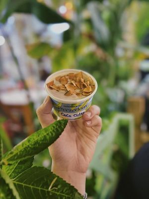 Coco Cider _ Vegan gelato made entirely with coconut ingredients at Freezedom Hoi An in Hoi An