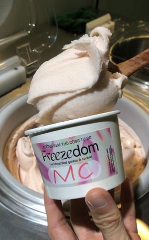 MC - Mangosteen & Soursop sorbet giving a fresh, natural sweetness of the fruit itself at Freezedom Hoi An in Hoi An