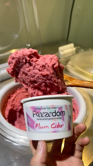 Plum Cider - Best seller sorbet using delicious Hậu plum from Nothern Vietnam, serve with apricot salt at Freezedom Hoi An in Hoi An