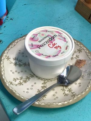  at Freezedom Hoi An in Hoi An