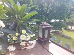 Garden at Eudemonia Nomad Plaza in Chiang Mai