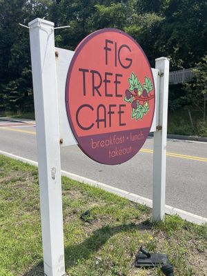   at Fig Tree Cafe in Barnstable