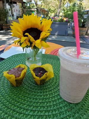 Cupcakes at Lettuce Inn in Concord