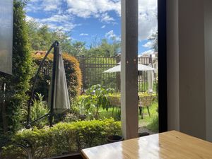 Looks out on to patio with more tables  at Kuruba in Cuenca