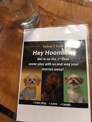  at Kebab N Kafe - A Pet Themed Restaurant in Chennai