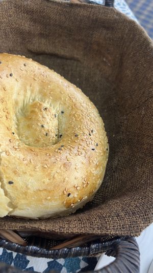   at Afrosiyob in Samarkand