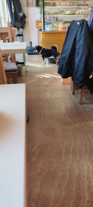 Indoor at Prince Peach in Berlin