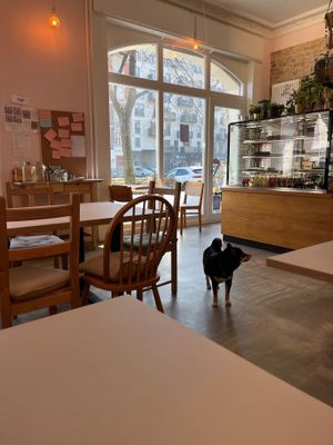 Interior design (dog-friendly) at Prince Peach in Berlin
