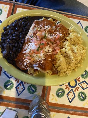 Green Special: Enchiladas, Rice & Beans  at Annapurna's World Vegetarian Cafe in Santa Fe