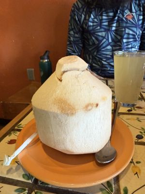 Fresh coconut water!  at Annapurna's World Vegetarian Cafe in Santa Fe