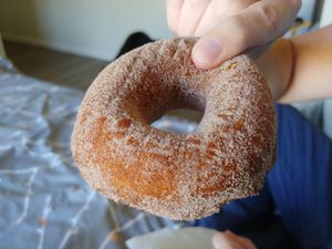 $2.25 Pumpkin' Spazz Bread: Pretty nice for a sugary pumpkin spice donut at Psycho Donuts in Campbell