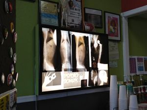 Xray at Psycho Donuts in Campbell