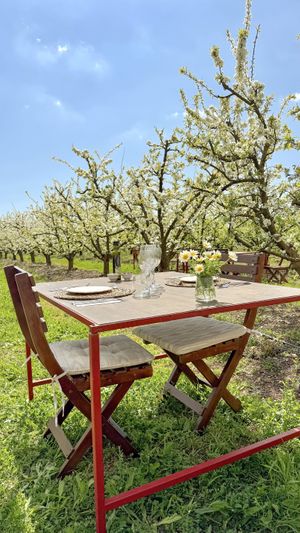   at Terragust in Mallorca