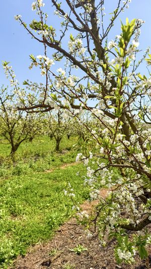   at Terragust in Mallorca