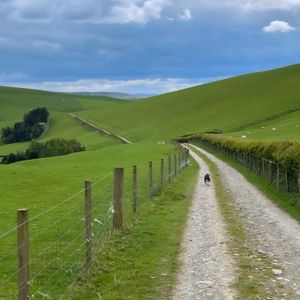   at Stoneleigh Kingsland in Leominster