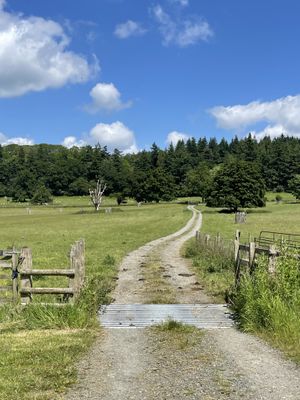   at Stoneleigh Kingsland in Leominster