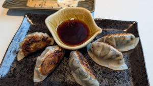 Gyoza a little burned on top but still tasty at Towzen in Batam