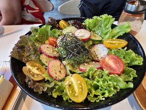 Salad with Japanese dressing at Towzen in Batam