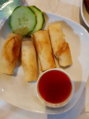 Spring Rolls at Vegie Bowl in Forest Hill