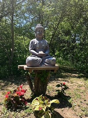 Buddha on one of the wooded trails at Crystal Woods Retreat in Wilkesport