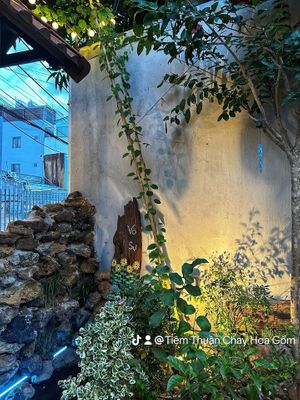 Trees 🥰🌲  at Hoa Gom - Plant-Based Café & Vegan House in Da Nang