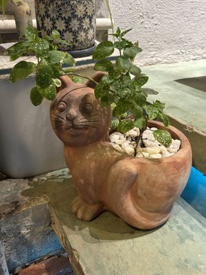   at Hoa Gom - Plant-Based Café & Vegan House in Da Nang