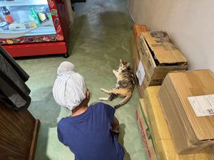   at Hoa Gom - Plant-Based Café & Vegan House in Da Nang