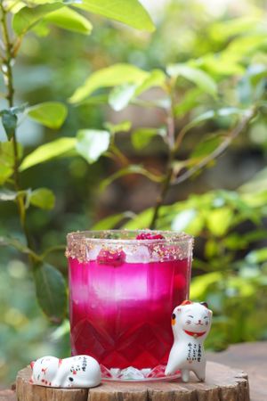  at Hoa Gom - Plant-Based Café & Vegan House in Da Nang