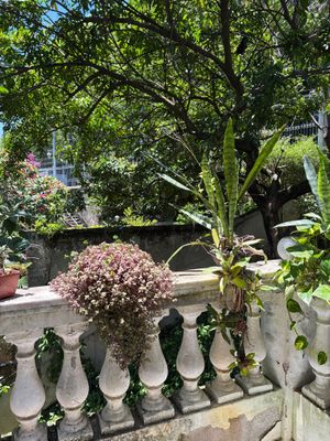  at Brunch da Mari Marola in Rio De Janeiro