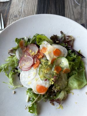 Mixed green salad, citrus vinaigrette, no cheese   at Wren in Suttons Bay