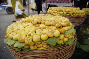 Fresh figs at Siyob Bozor in Samarkand
