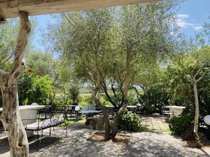   at Cantina Murales | Enoturismo in Gallura in Olbia