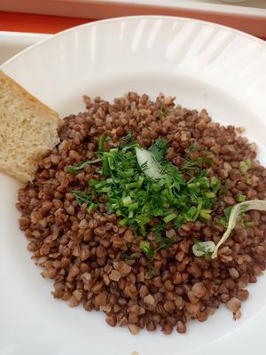 Buckwheat at B Blok - Tashkent University of Information Technologies in Tashkent