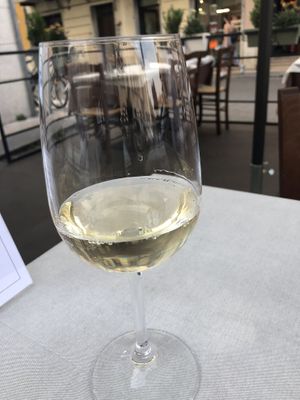 Vegan white wine at La Lanterna in Verona