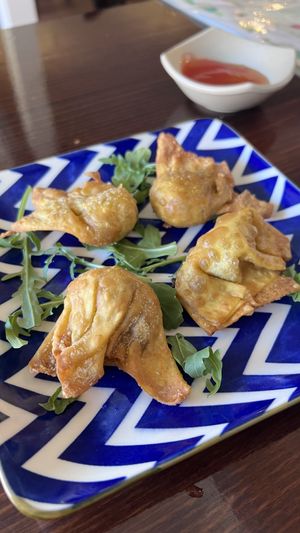 Won Ton  at Vegan Heaven in Fitzroy